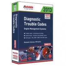2013 Domestic DTC Manual